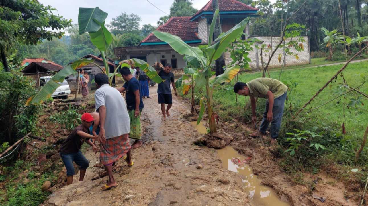Warga gotong royong menanam pohon pisang di jalan rusak Dusun Topoar, Desa Karduluk.