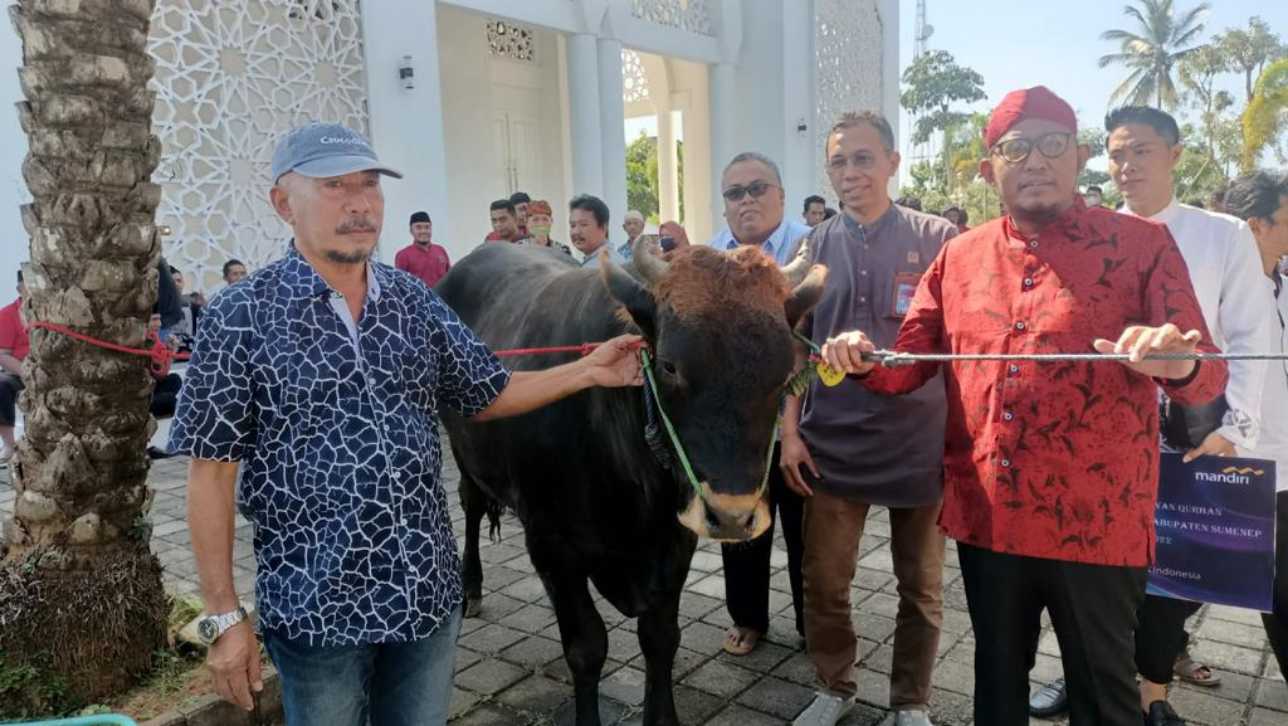 Penyaluran hewan kurban secara simbolis oleh Bupati sekaligus Ketua DPC PDI Perjuangan Kabupaten Sumenep, Achmad Fauzi.